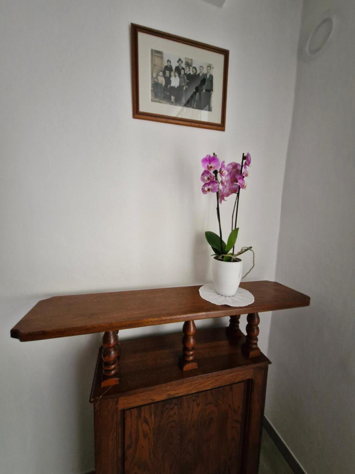 Apartma Jezevi Sežana Eksteriør billede